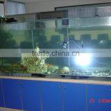 Frozen Potato Chips French Fries Machine for Sale thumbnail-1