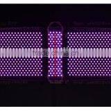 Skin Tightening PDT Led Light Skin Rejuvenation/PDT Photon Acne Freckle Removal       Wrinkle Removal/ Skin Whitening Led PDT Beauty Machine Anti-aging470nm Red thumbnail-5