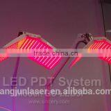 Deep Phototherapy Rejuvenation LED Phototherapy Machine thumbnail-2