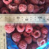 Grade A 95% Whole Frozen IQF Raspberry thumbnail-3