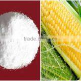 Maltodextrin Producer Since 1985 thumbnail-1