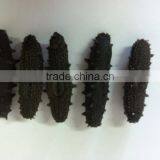 HOT!!! 100% Natural Organic Dried Prickly Sea Cucumber thumbnail-3
