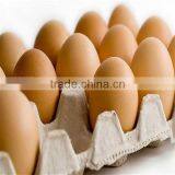 All Kind of Cheap 30 Cavity Paper Egg Tray thumbnail-3