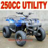 250cc New Force ATV thumbnail-1