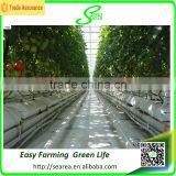 Hydroponic Pvc Plastic Channel for NTF Greenhouse Hydroponic System thumbnail-4