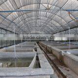 Low Cost Plastic High Tunnel Greenhouse thumbnail-1