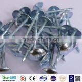 Twisted Shank Roofing Nails Best Wholesale Website thumbnail-1