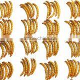 Pet Food Factory Birds Food Meal Worm thumbnail-2