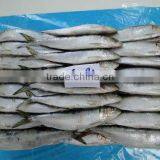 30-50G Top Quality Frozen Sardine Fish thumbnail-1