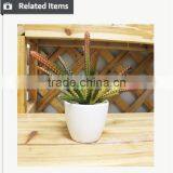 Artificial Preserved Succulents Artificial Potted Mini Succulent Plants Hot Sale Artificial Potted Plants thumbnail-5