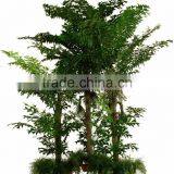 Artificial Mini Palm Trees and Palm Tree Landscaping thumbnail-3