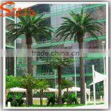 2015 Wholesale Artificial Outdoor Palm Trees Plastic Decorative Metal Palm Tree Palm Trees thumbnail-2