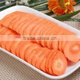Chinese Fresh carrot
