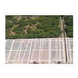 Transparent Spunbond Non Woven Landscape Fabric for Agriculture Plant Cover thumbnail-1