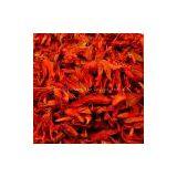 Easter Lily Tea thumbnail-1