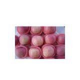 Sell Red Fuji Apple thumbnail-1