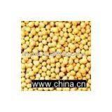 Soybean Extract Isoflavone