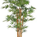 New Product Artificial Bonsai Bamboo Tree With Natural Colour thumbnail-3