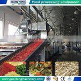 Belt Dryer Machine Industrial Broccoli Vegetable Dryers for Sale thumbnail-3