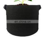 Shiitake Mushroom Garden Felt Grow Bag thumbnail-3