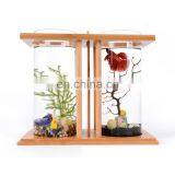 Creative Decoration Ecological Desktop Mini Aquarium Home Decoration thumbnail-4