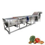 Fruit Vegetable Washing Machine High Efficiency Vegetable and Fruit Ozone Washer for Eggplant thumbnail-2