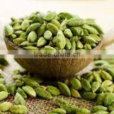CARDAMOM thumbnail-1