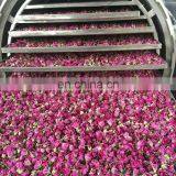 Multi Functional Vacuum Freeze Dryer Raw Food Dehydrator thumbnail-3