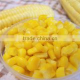 canned hand peel sweet yellow whole corn whole kernel