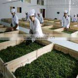 Changchun Jinsheng Zhuoyu Trading Co., Ltd. company overview - view 3 thumbnail