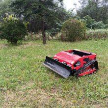Remote Mower Price, China Robot Slope Mower Price, Slope Mower Remote Control for Sale