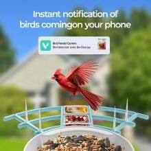 Ringsee AI Electronic Bird Feeder With Camera Automatic Bird Feeder Watching Camera Wireless Outdoor Solar Bird Feeder Camera thumbnail-3