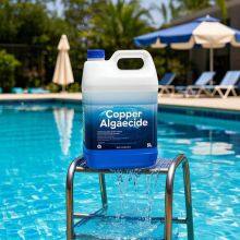 Copper Pool Algaecide for Swimming Pool 90 Day Algaecide for Inground Pool to Prevent and Remove Pool Algae thumbnail-3