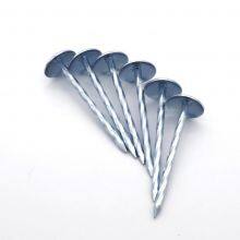 Twist Shank Roofing Nails 1.5mm-2.5mm Diameter Custom Lengths for Corrugated Roofing thumbnail-2
