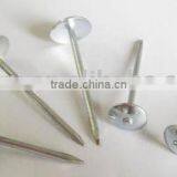 Roofing Nails With Umbrella Head Factory
