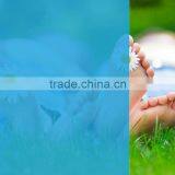 Hot Sell Blue Protective Film for Window PET Adhesive Film thumbnail-5