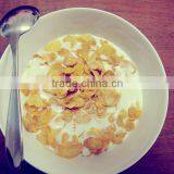 High Quality Cereals Corn Flakes Extruder thumbnail-2