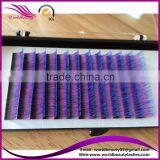 Three Tone Ombre Color Individual Eyelash Extension