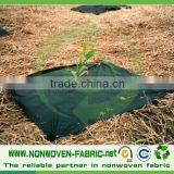 Landscape Nonwoven Fabric Agriculture Nonwoven Fabric 100% Polypropylene Price per kg