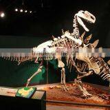 Artificail Simulation Dinosaur Skeleton Fossil For Museum thumbnail-1
