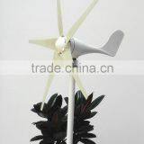 500W Wind Generator DNE-500 Modell Home Use Wind Generator thumbnail-2