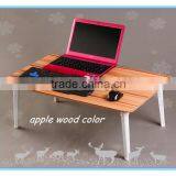 Folding Outdoor Picnic Table