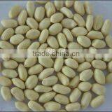 Groundnut Blanched Peanuts From Chinese Plant thumbnail-1