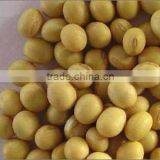 Soybean Isoflavones 20%, 40% HPLC Daidzin Daidzein thumbnail-1