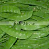 Pea Pods thumbnail-1