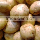 Fresh Potato From Bangladesh