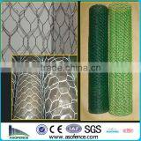 Hexagonal chicken mesh (Anping A.S.O Factory)