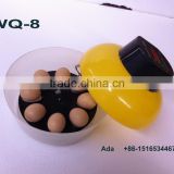 Cute chicken egg hatchery with high hatching rate WQ-8