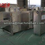 Sunflower Seeds Roasting Machine Line|Melon Seed Baking Machine thumbnail-2