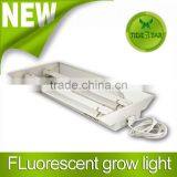 Dual 55W T5 Fluorescent Hydroponic Grow Light thumbnail-1